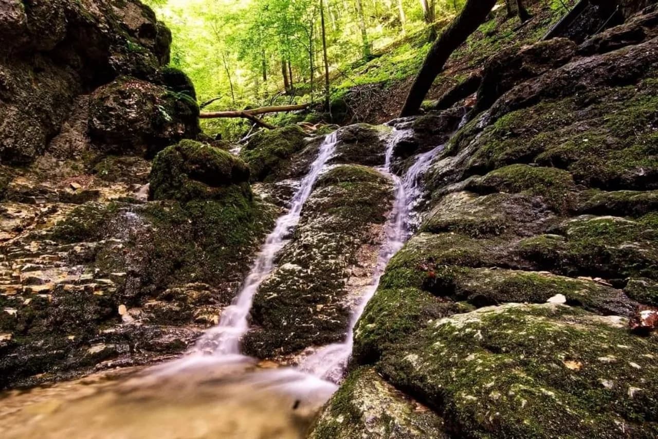 Wolfsschlucht - Germany