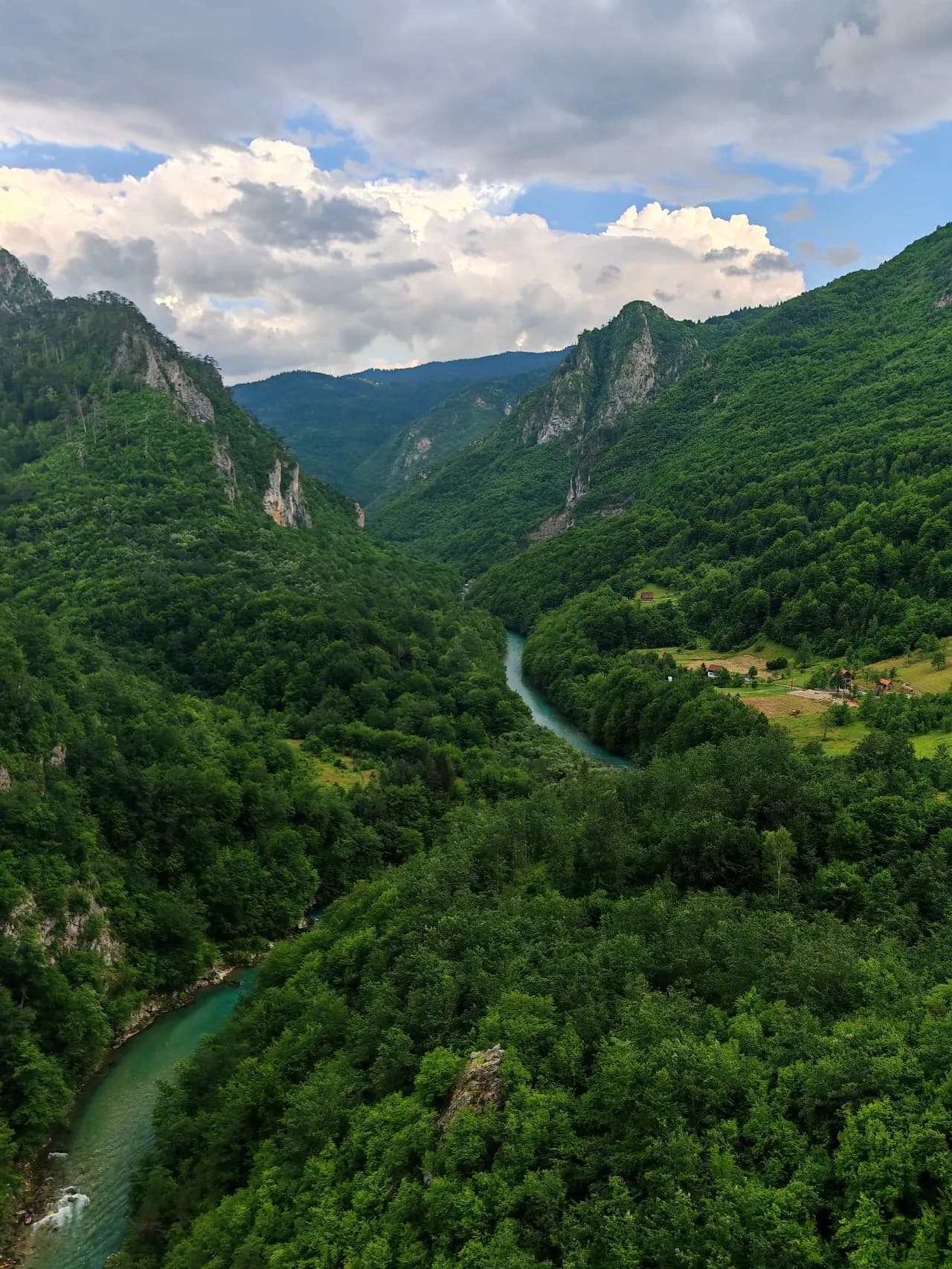 Tara River Canyon - จาก Tara Bridge, Montenegro