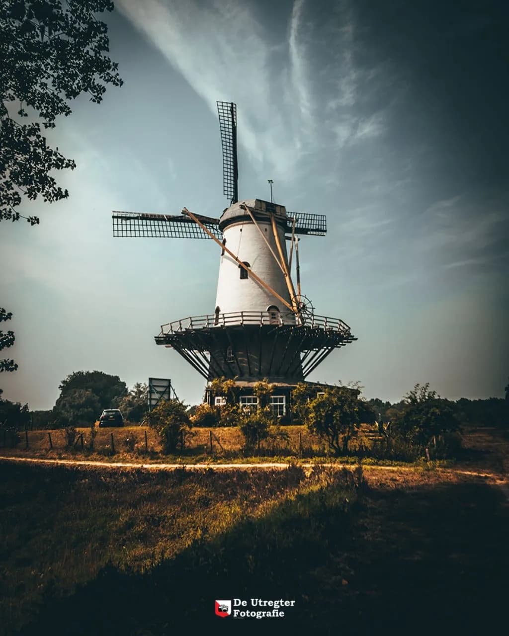 De Koe - Netherlands