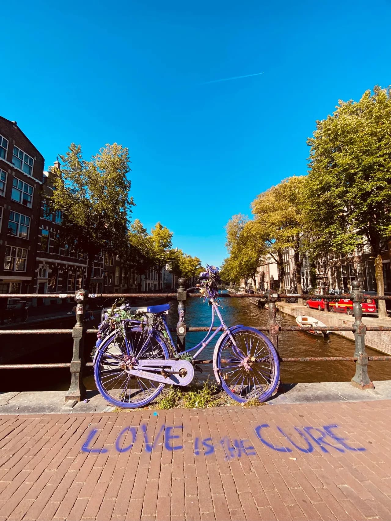 Mooie paarse fiets op de brug - Netherlands