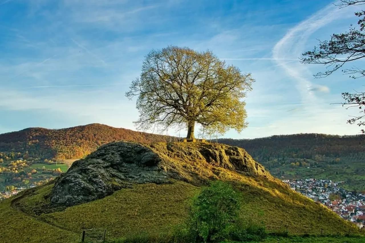 Calverbühl - Desde Am Fuße des calverbühl, Germany