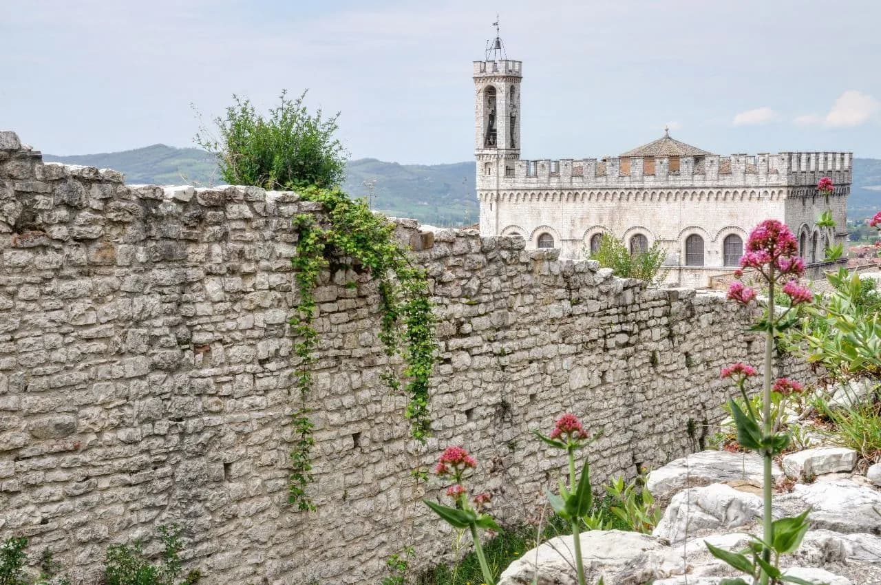Palazzo dei Consoli - Z Orti della Cattedrale, Italy
