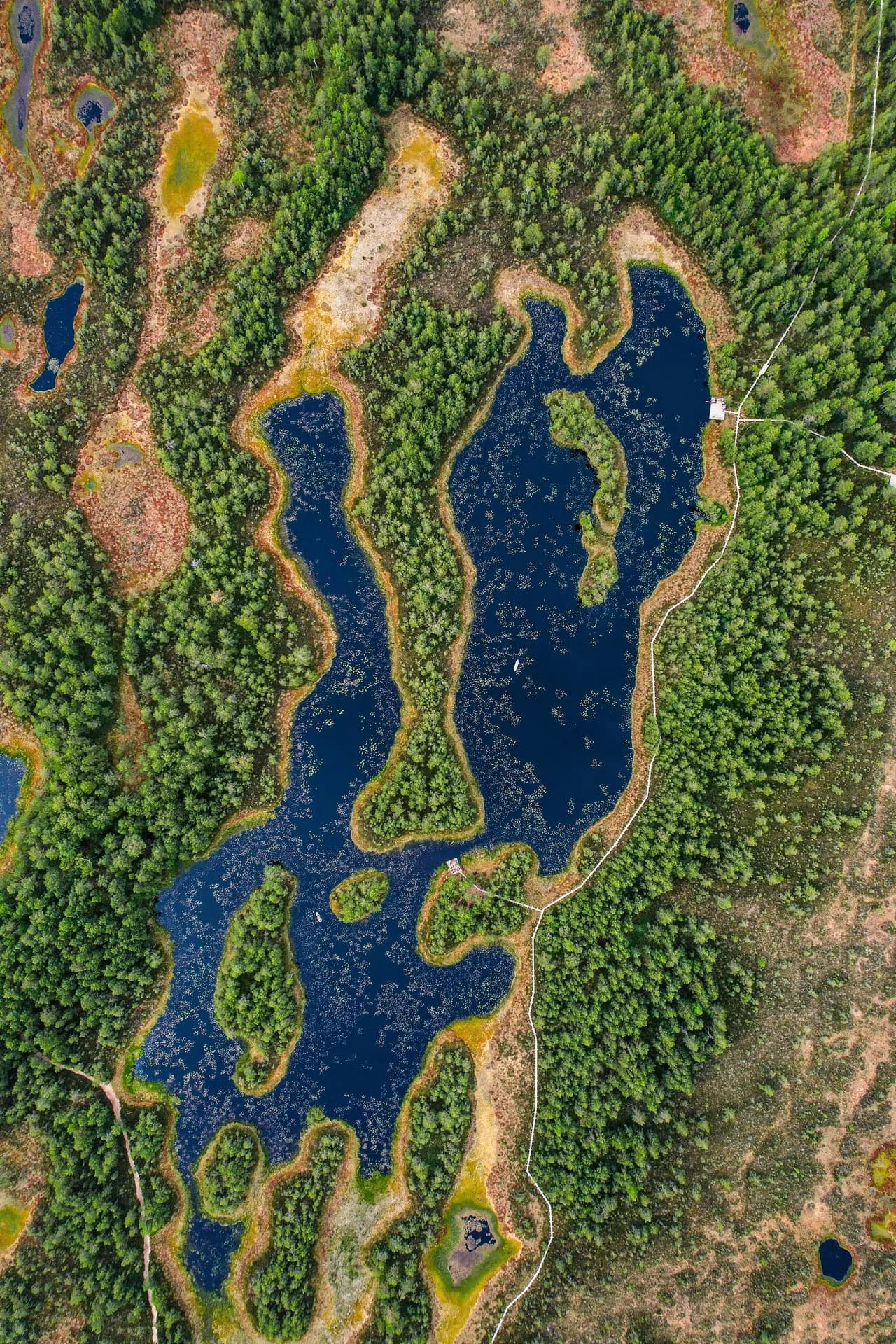 Mukri Bog - Dari Drone, Estonia