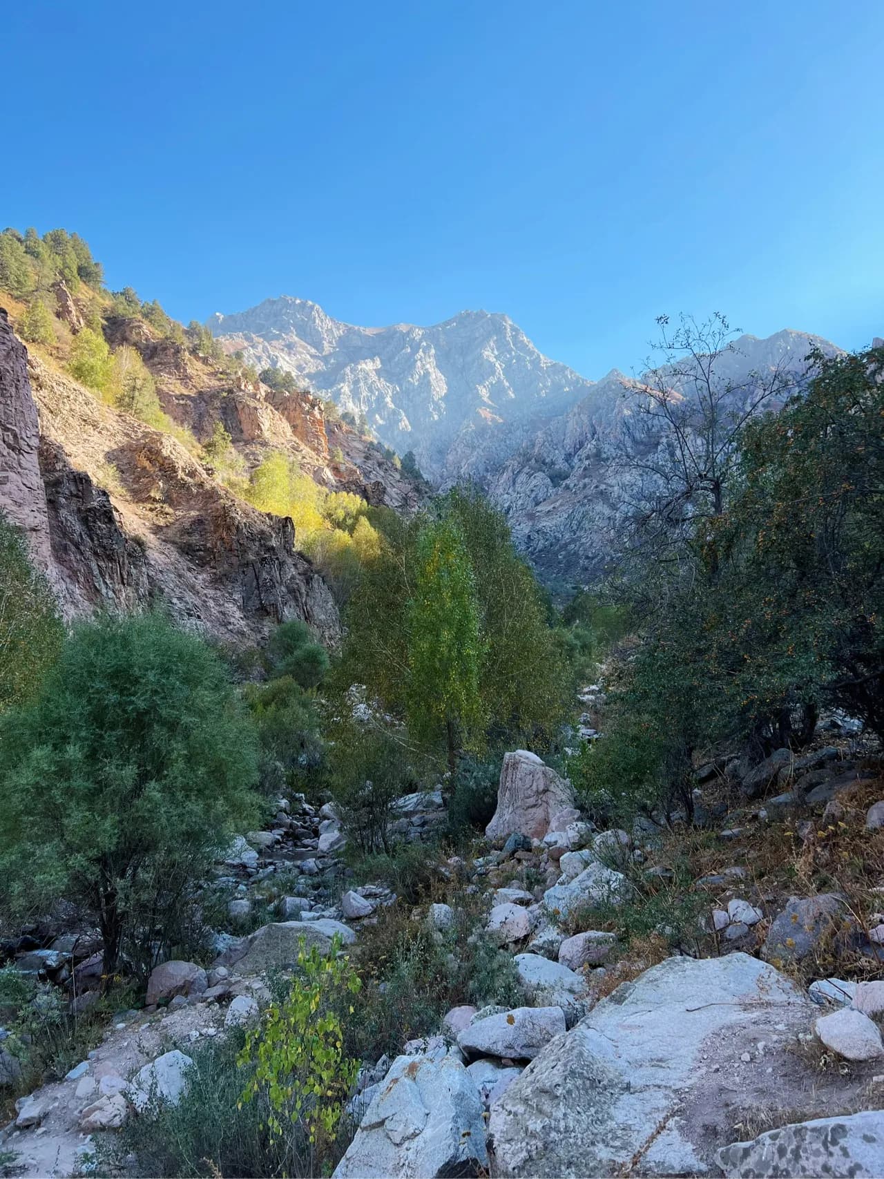 Gorge Gulkam - Uzbekistan