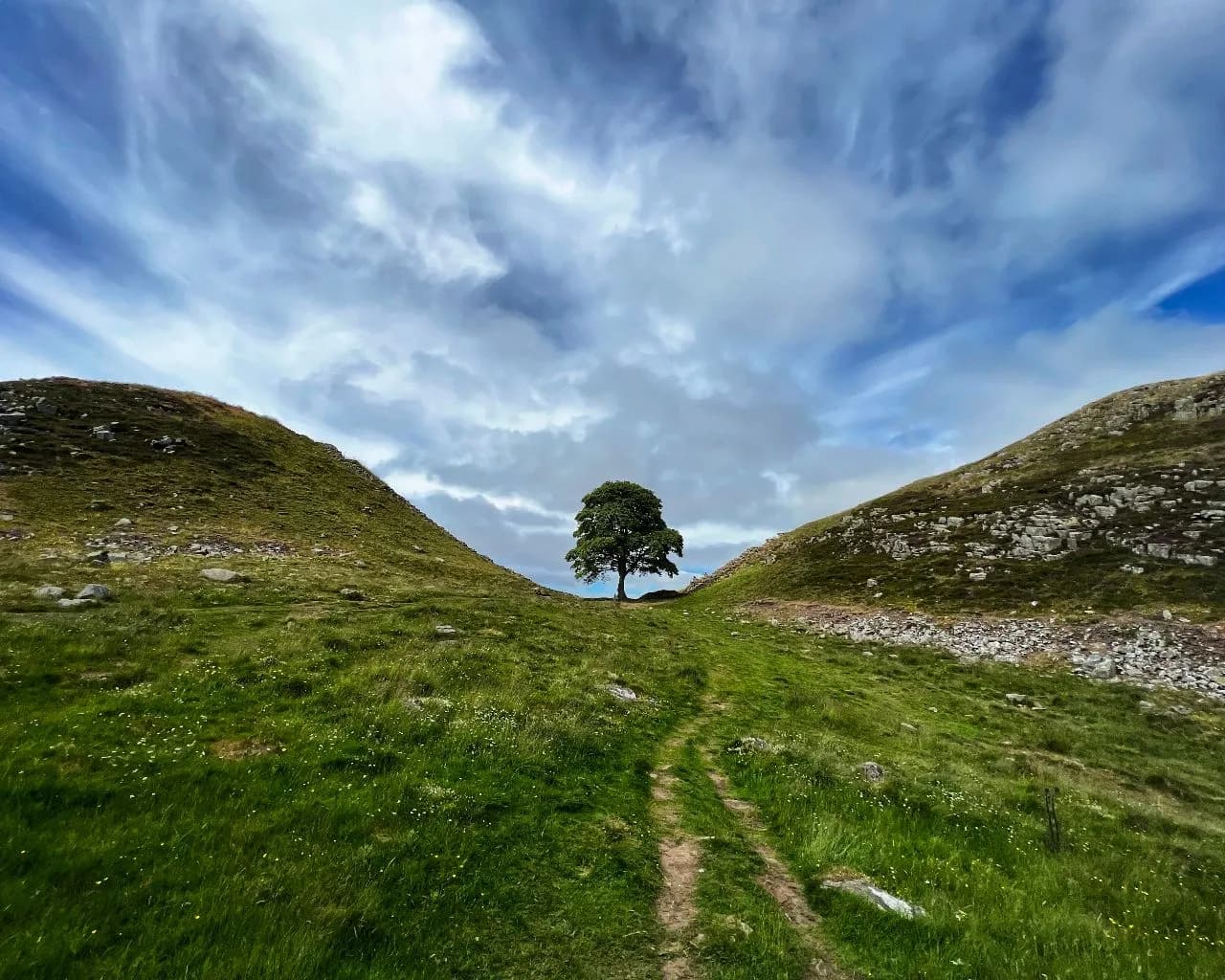 Sycamore Gap - จาก Hiking trail, United Kingdom
