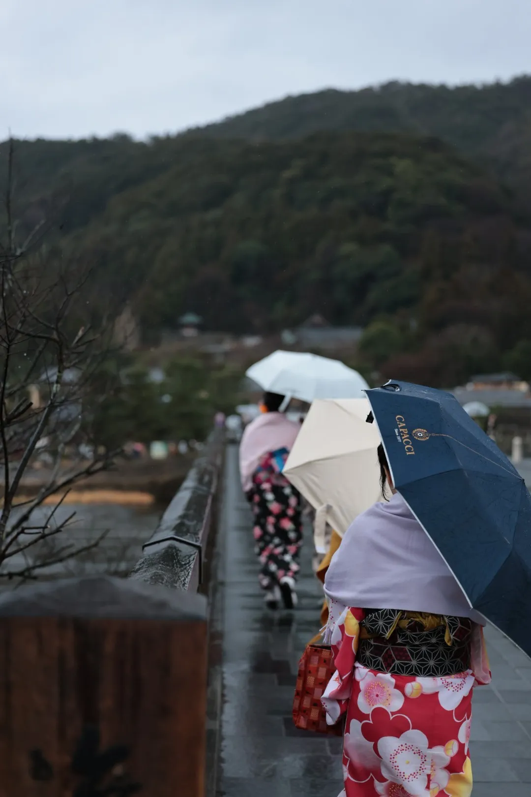 Togetsukyo Bridge - Japan